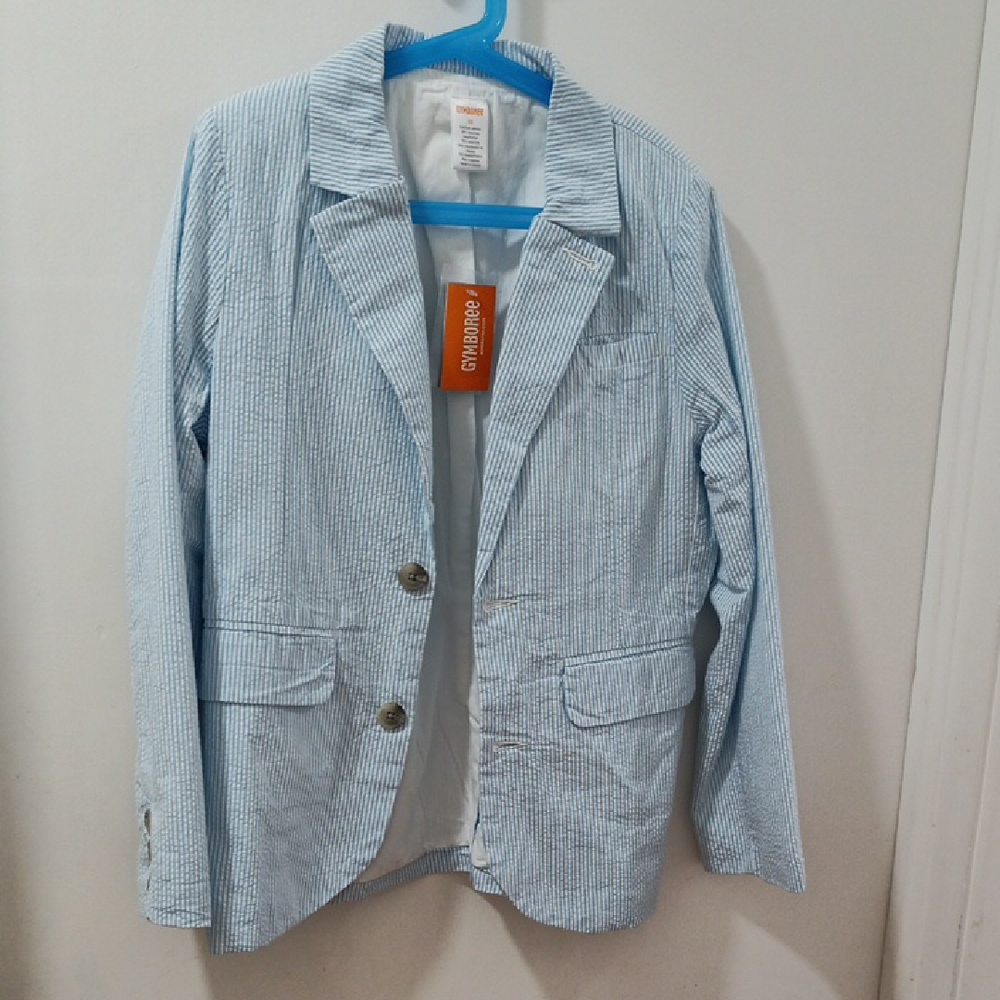 Gymboree Blue Striped Kids Blazer